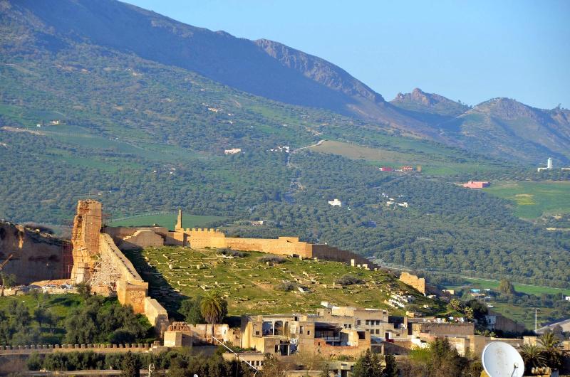 Dar Tahri - Genel