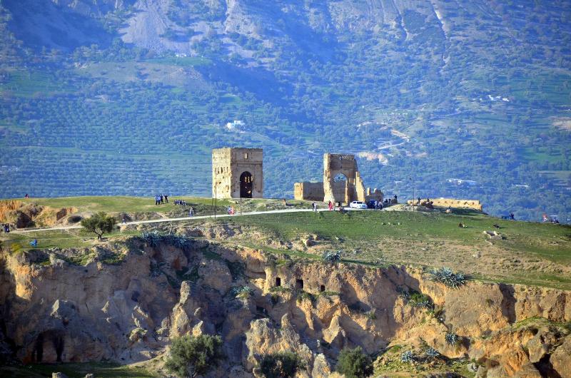 Dar Tahri - Genel