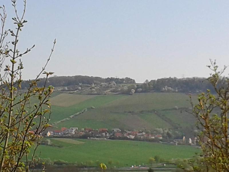 Rebgut - Die Weinherberge - Genel