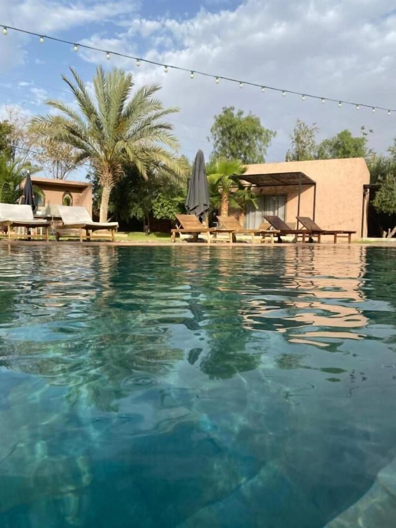 The Bird Exclusive Guest House & Spa - Aktivite