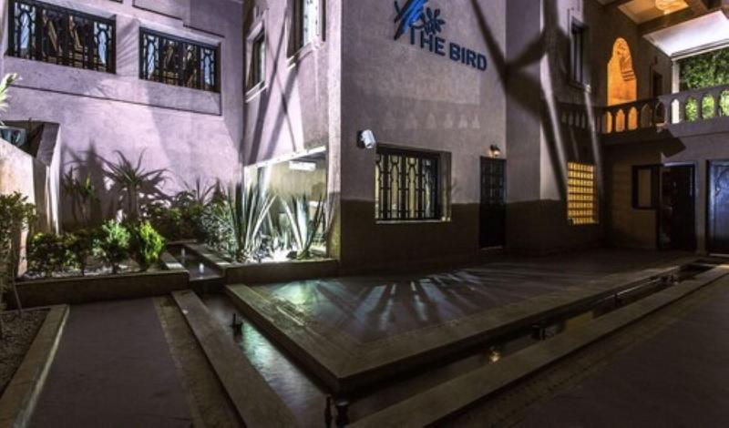 The Bird Exclusive Guest House & Spa - Aktivite