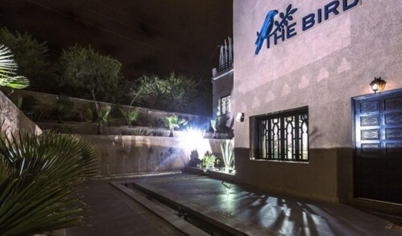 The Bird Exclusive Guest House & Spa - Aktivite