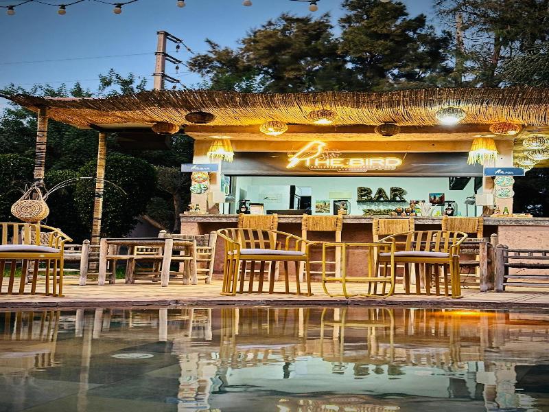 The Bird Exclusive Guest House & Spa - Genel
