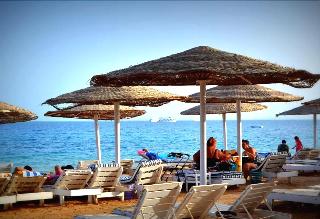 Elaria fotoÄŸrafÄ±