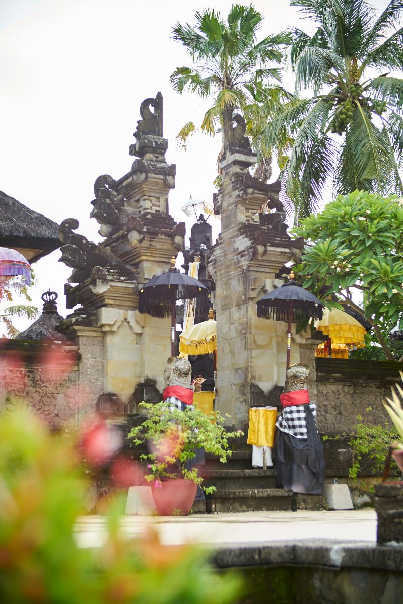 Puri Bagus Lovina - Aktivite