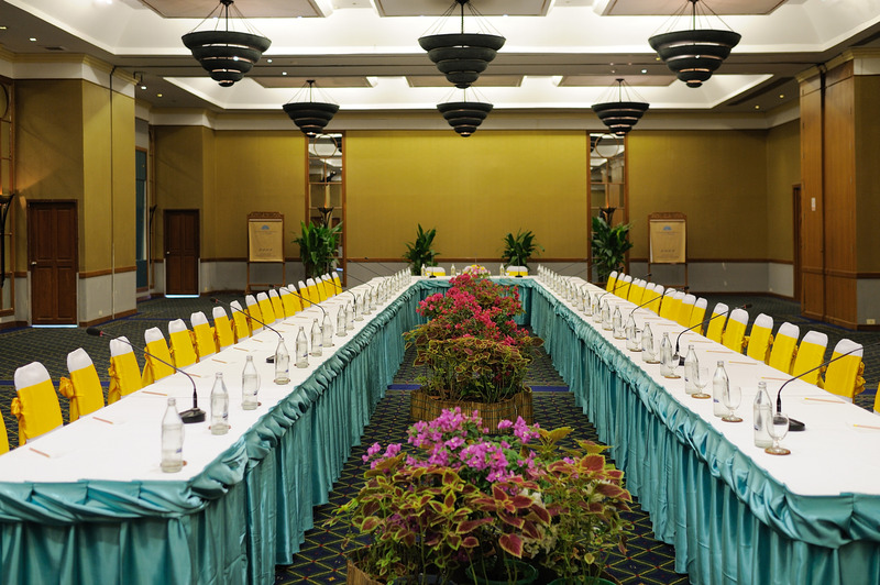 The Royal Paradise Hotel & Spa - Toplantı