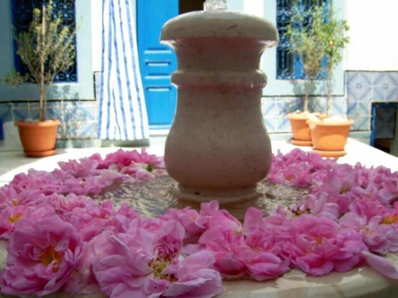 Dar Baaziz - Restoran