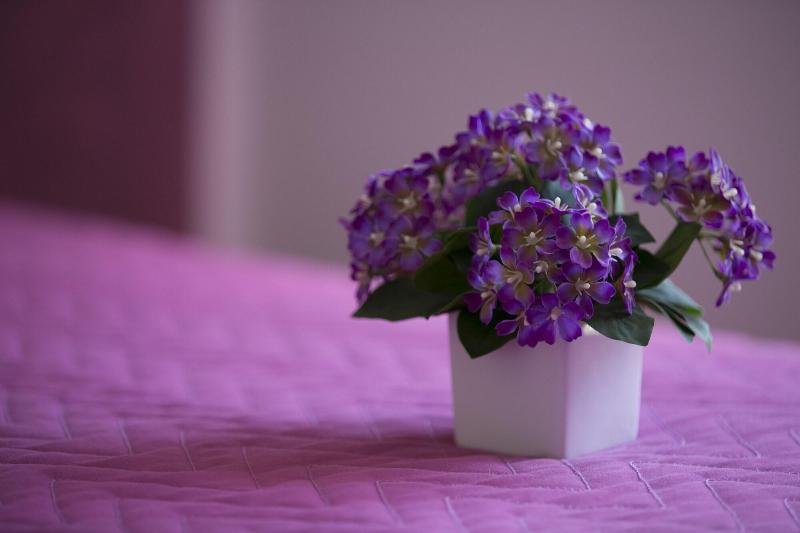 Rotte e Sentieri B&B - Lobi
