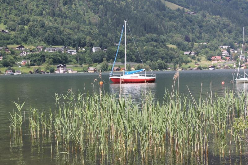 Gasthof - Pension Waldhof - Aktivite