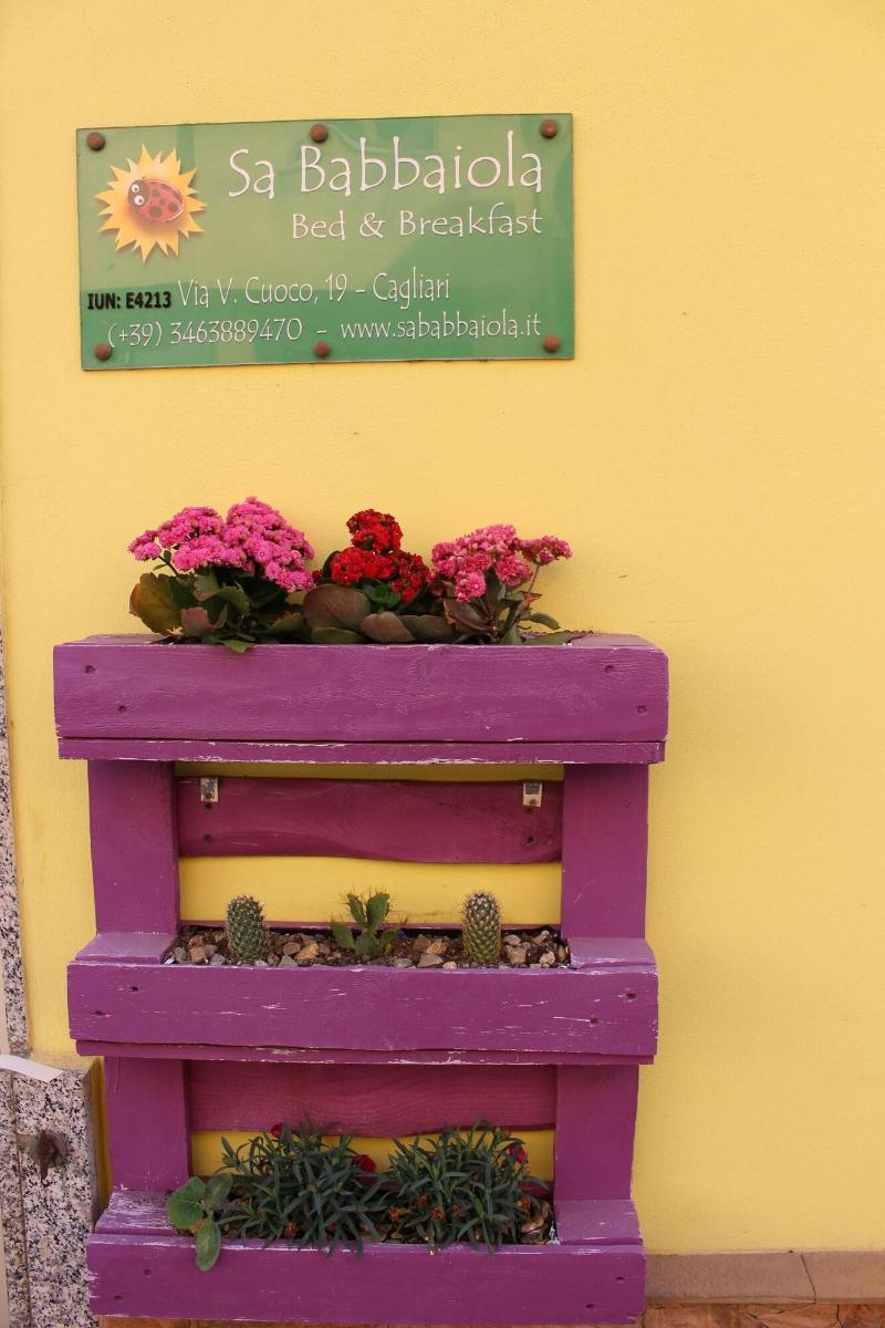 Sa Babbaiola B&B - Genel