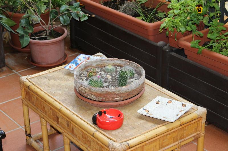 Sa Babbaiola B&B - Genel