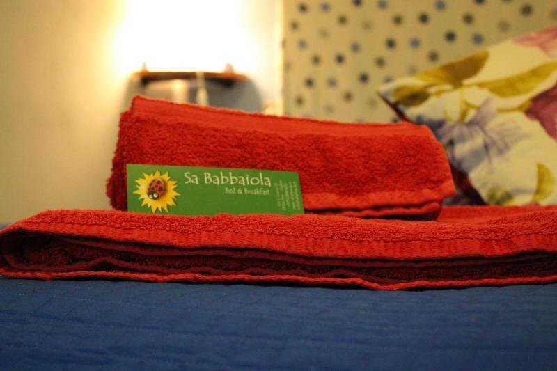 Sa Babbaiola B&B - Oda