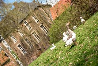 Hotel Schinvelder Hoeve fotoÄŸrafÄ±