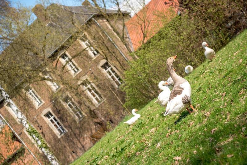 Hotel Schinvelder Hoeve - Genel