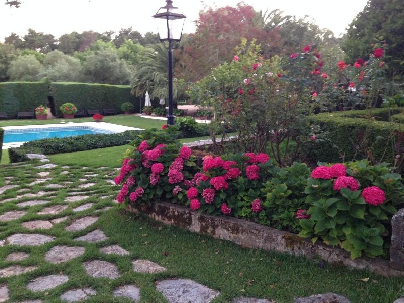 Otium Country House - Aktivite