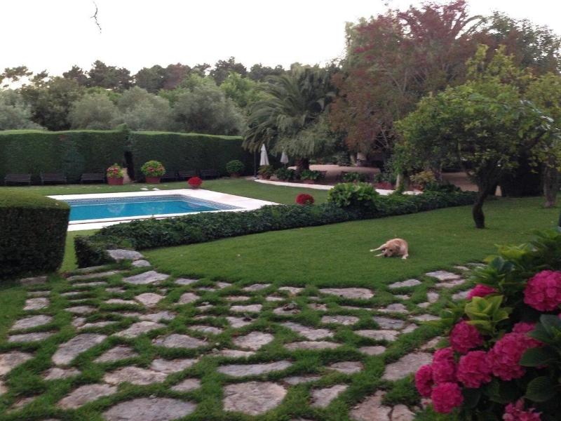 Otium Country House - Aktivite