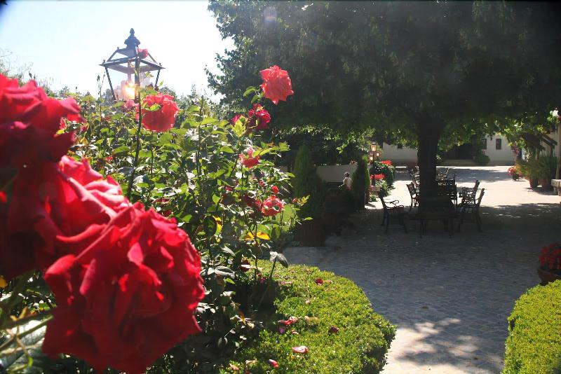 Otium Country House - Genel