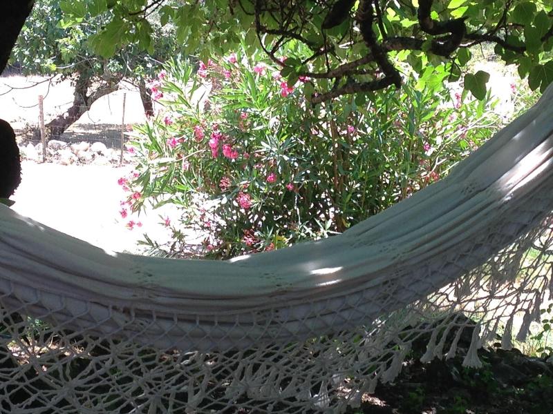 Otium Country House - Genel