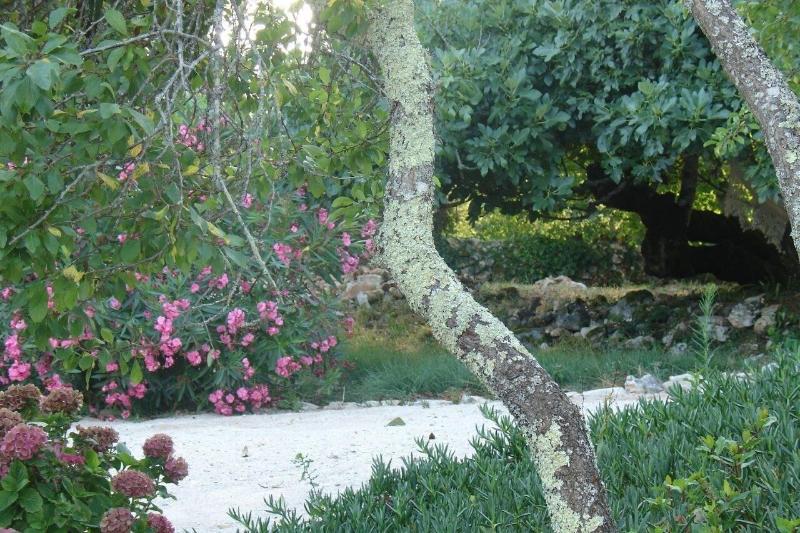 Otium Country House - Genel
