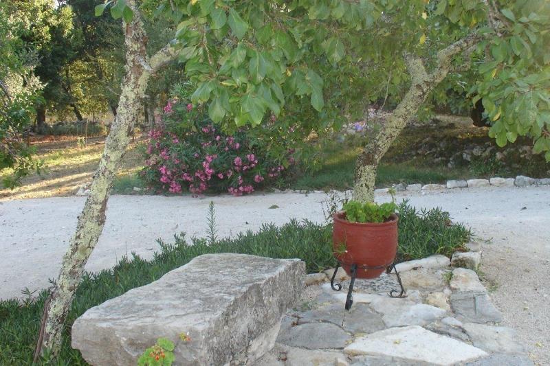 Otium Country House - Genel