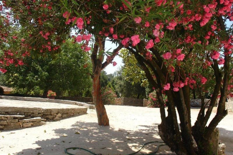 Otium Country House - Genel