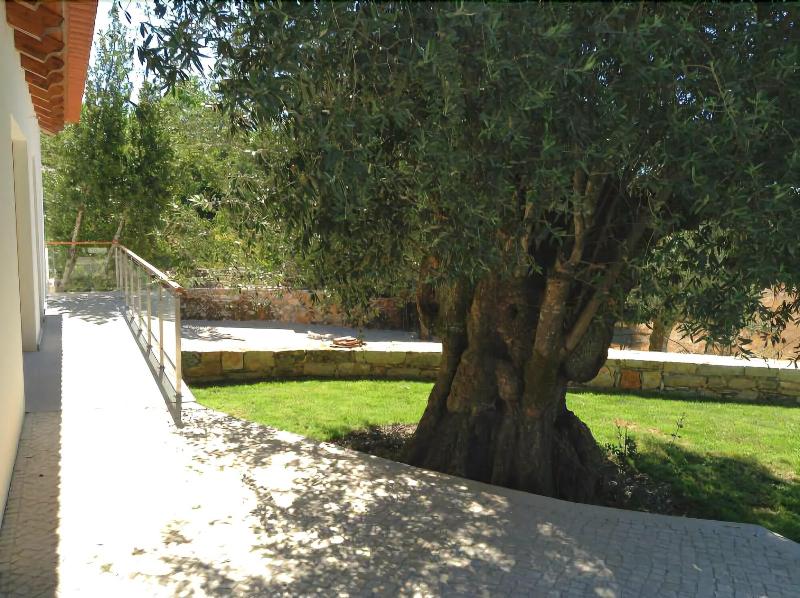 Otium Country House - Genel