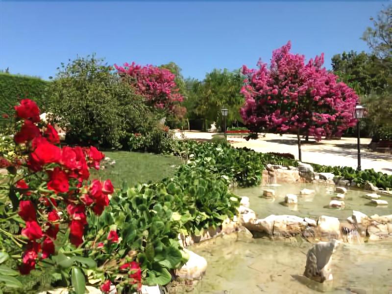 Otium Country House - Genel