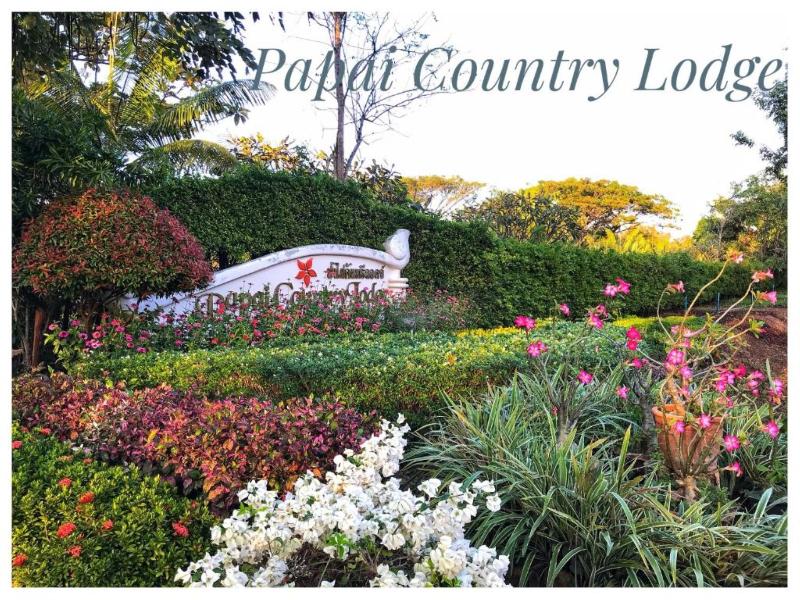 Papai Country Lodge SHA by ZUZU - Restoran