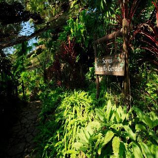 Centara Villas Samui fotoÄŸrafÄ±