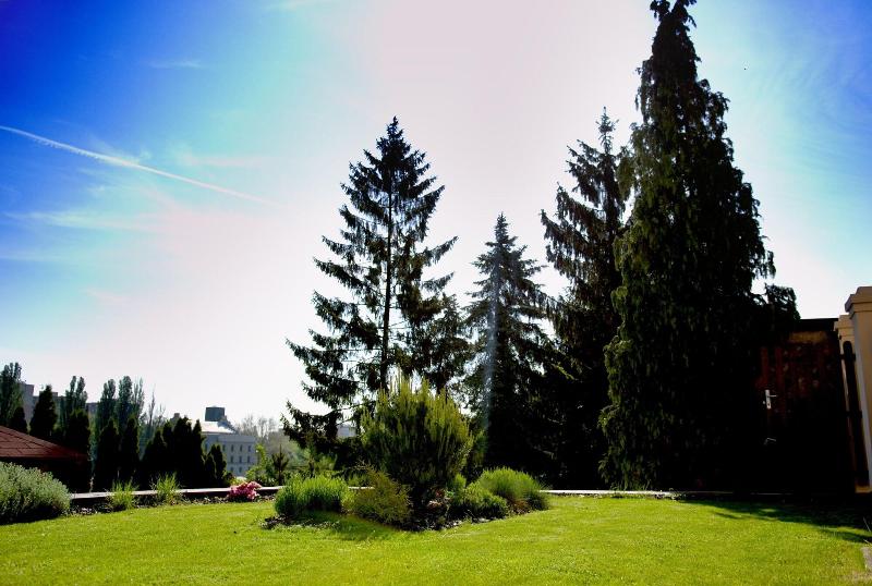 Pension Falconi - Genel