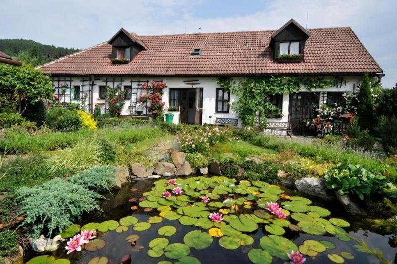 Pension Regina - Genel
