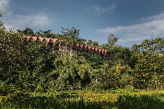 Anantara Golden Triangle Elephant Camp & Resort fotoÄŸrafÄ±