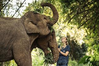 Anantara Golden Triangle Elephant Camp & Resort fotoÄŸrafÄ±