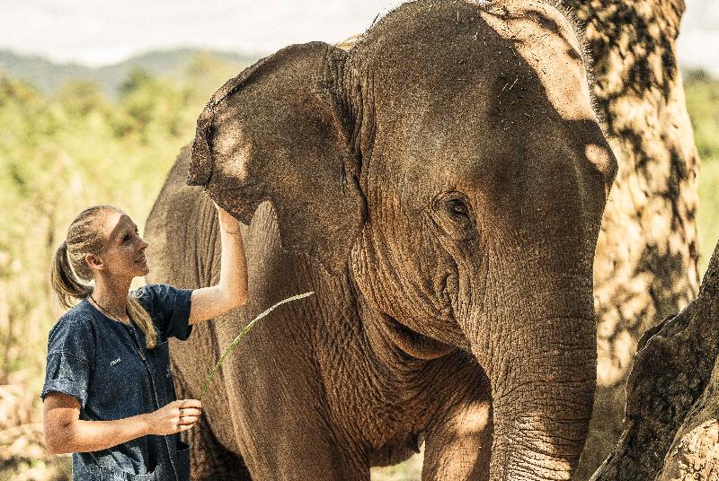 Anantara Golden Triangle Elephant Camp & Resort - Genel