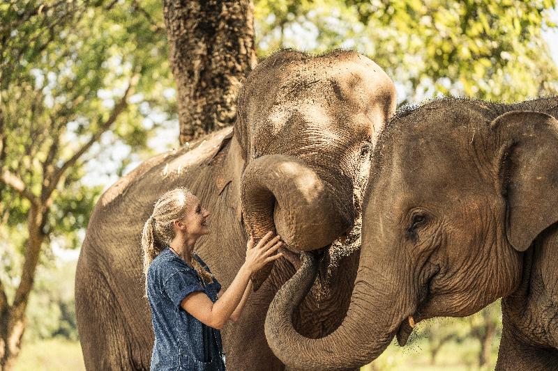 Anantara Golden Triangle Elephant Camp & Resort - Genel