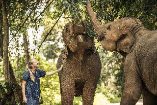 Anantara Golden Triangle Elephant Camp & Resort fotoÄŸrafÄ±