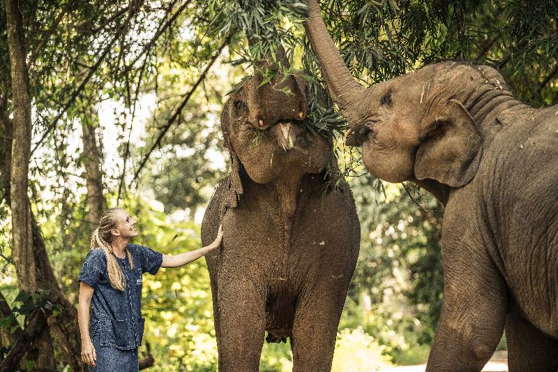 Anantara Golden Triangle Elephant Camp & Resort - Genel
