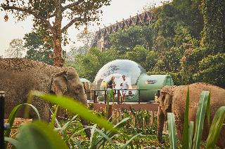 Anantara Golden Triangle Elephant Camp & Resort otel fotoğrafı