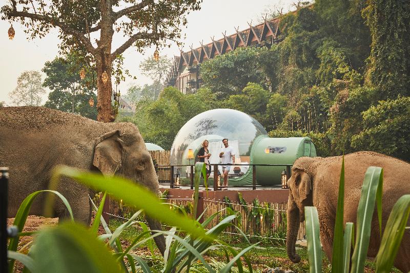 Anantara Golden Triangle Elephant Camp & Resort - Genel