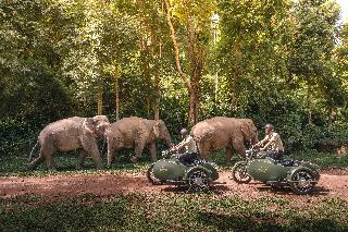 Anantara Golden Triangle Elephant Camp & Resort fotoÄŸrafÄ±