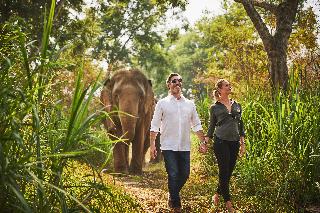 Anantara Golden Triangle Elephant Camp & Resort fotoÄŸrafÄ±
