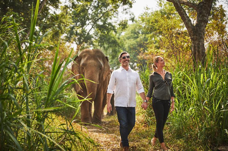 Anantara Golden Triangle Elephant Camp & Resort - Genel