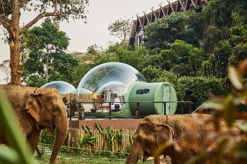 Anantara Golden Triangle Elephant Camp & Resort - Genel
