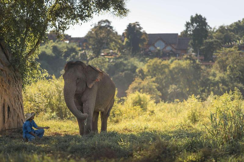Anantara Golden Triangle Elephant Camp & Resort - Genel