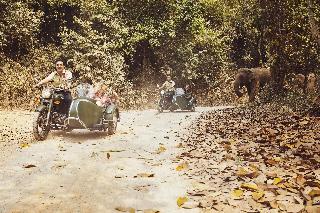 Anantara Golden Triangle Elephant Camp & Resort fotoÄŸrafÄ±
