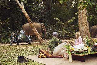 Anantara Golden Triangle Elephant Camp & Resort fotoÄŸrafÄ±