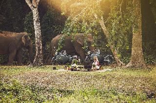 Anantara Golden Triangle Elephant Camp & Resort fotoÄŸrafÄ±