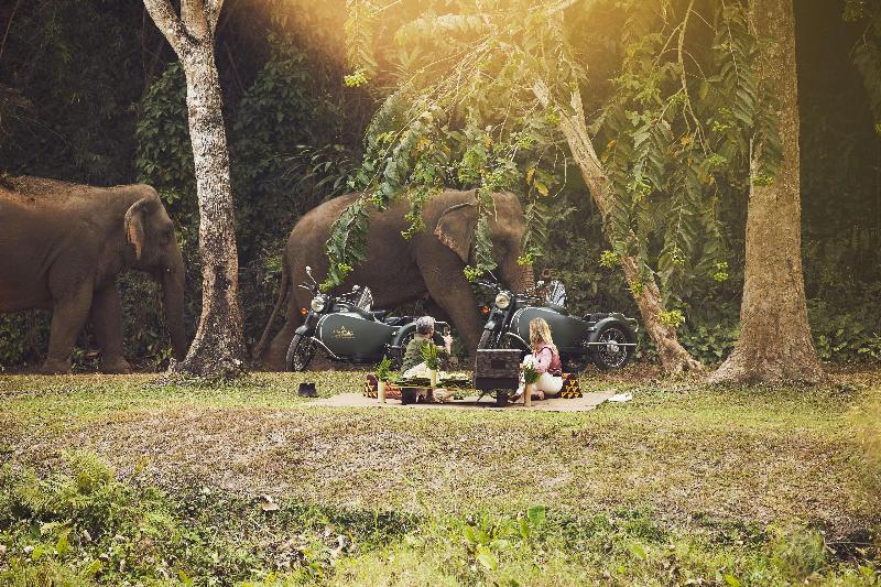 Anantara Golden Triangle Elephant Camp & Resort - Genel