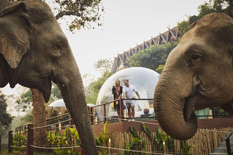 Anantara Golden Triangle Elephant Camp & Resort - Genel