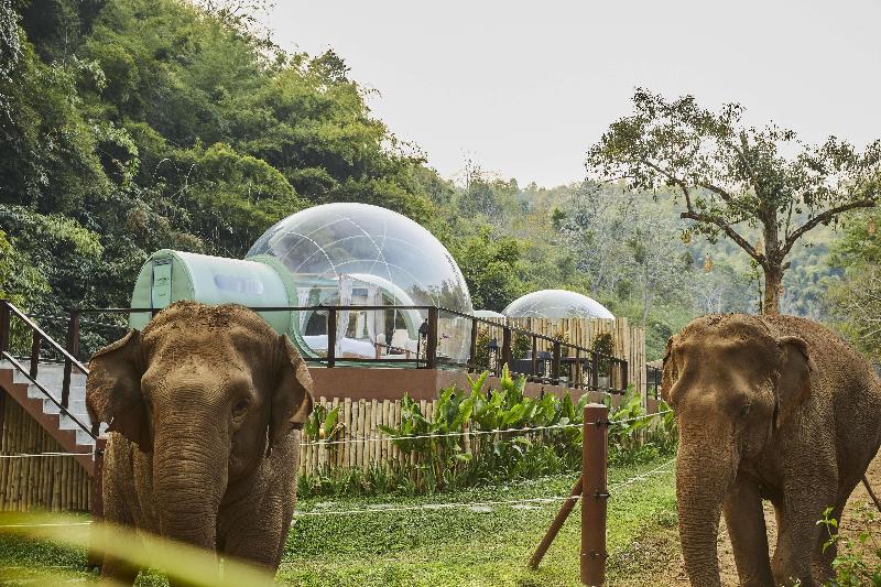 Anantara Golden Triangle Elephant Camp & Resort - Genel